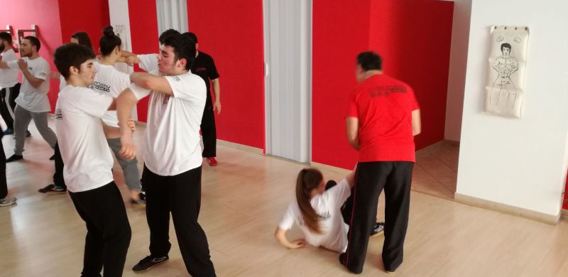 Stage Wing Chun San Severo con Sifu Mezzone della Kung  Fu Academy Caserta Italia (4)